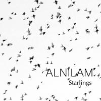 Starlings Album Cover